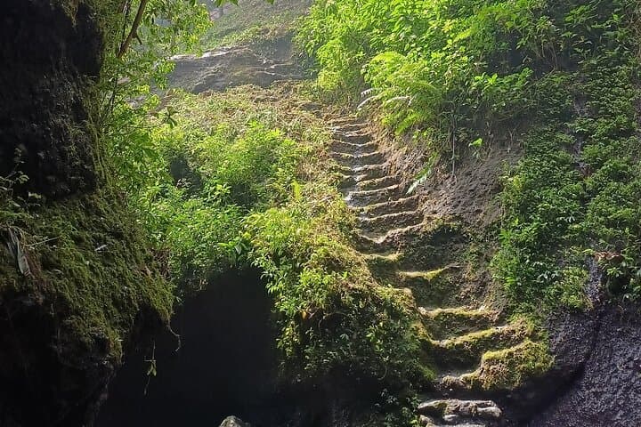 Jakarta Bogor Botanical Garden, Waterfall and Rice terrace, Lunch - Image 2