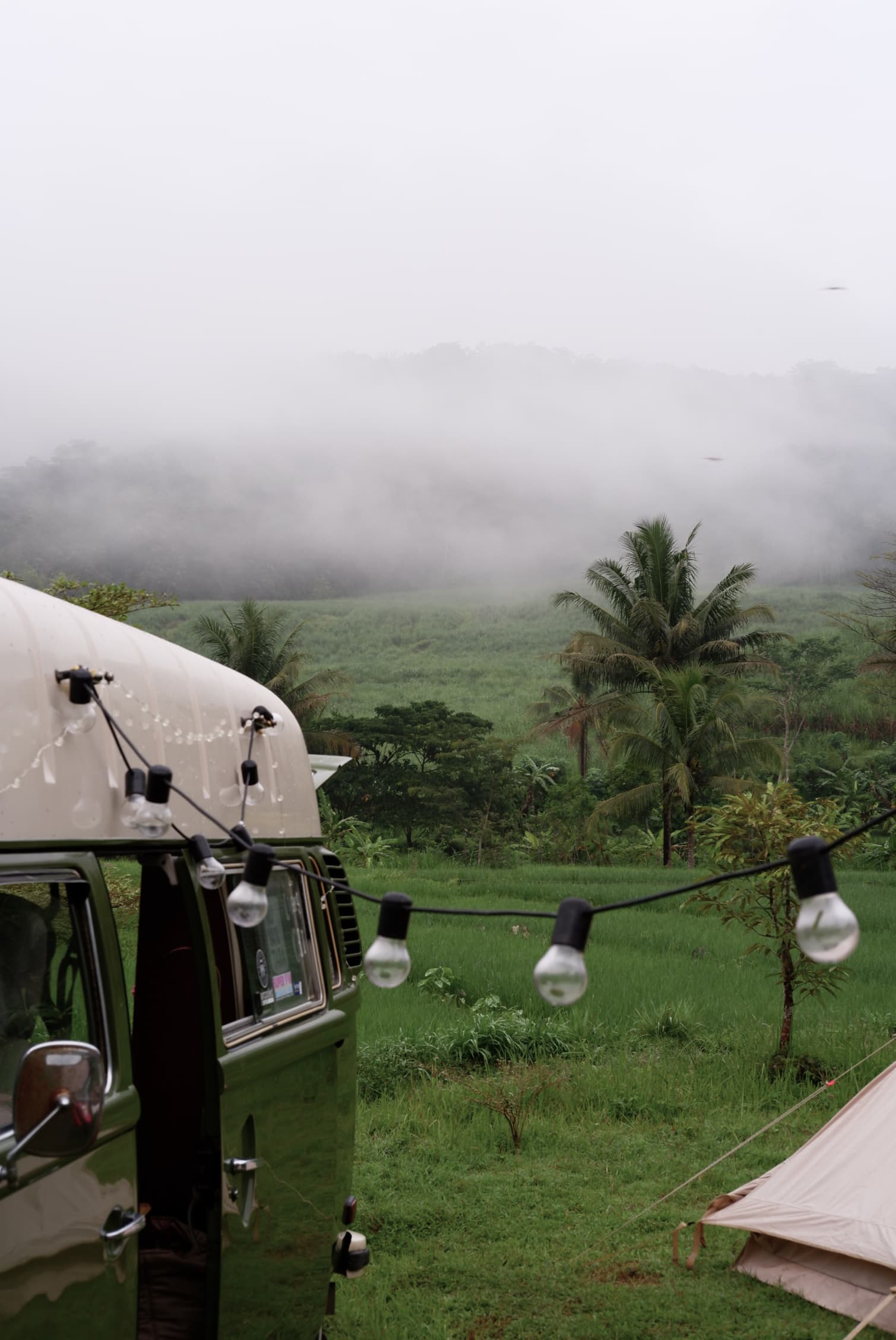 Unwind at Tinalah Terrace - Image 7