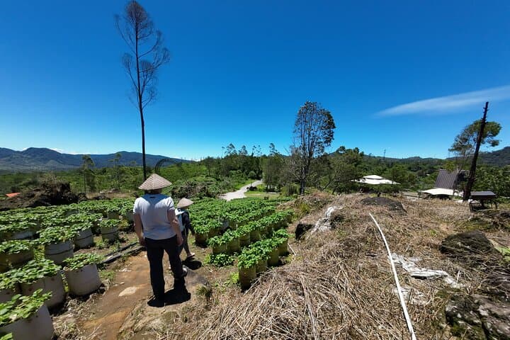 Volcano Sightseeing and Hot Spring Private Tour - Image 4