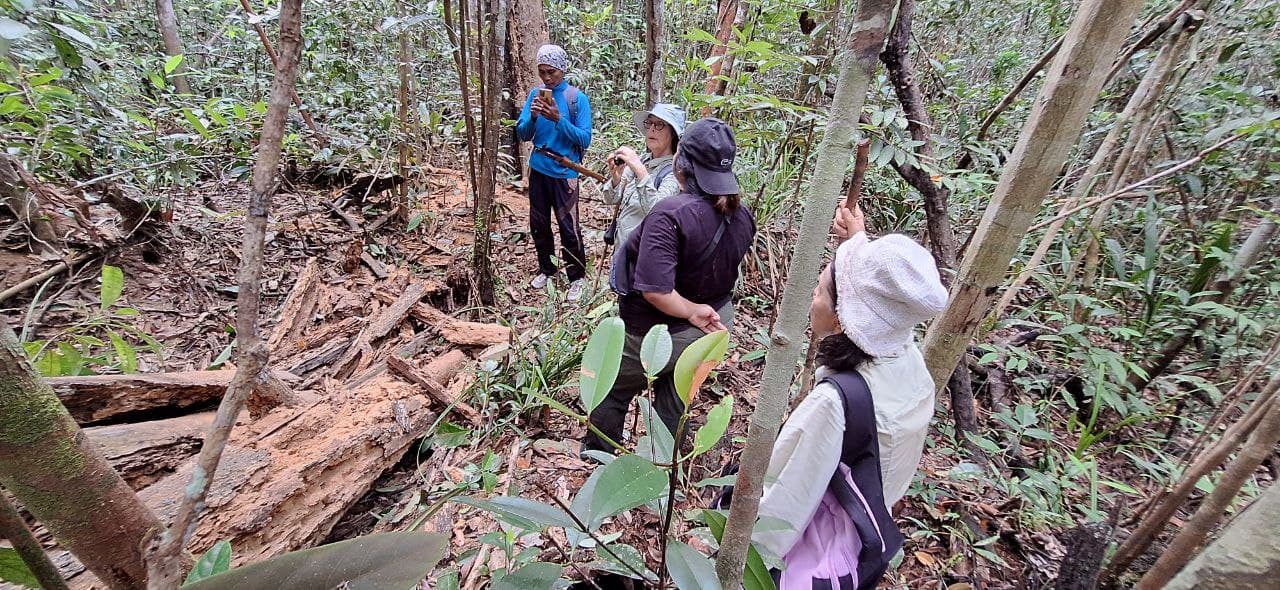 4D3N Orangutan Experience Tour - Image 6