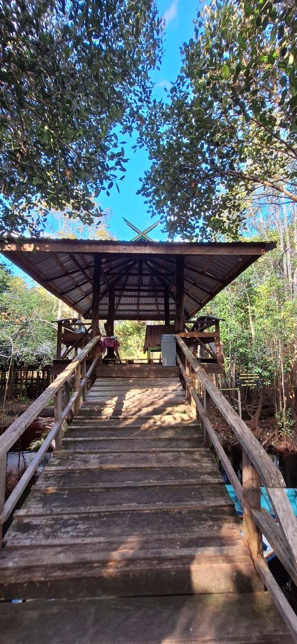 4D3N Orangutan Experience Tour - Image 8