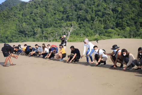 2D1N Sukamade Beach Turtle Tour from Banyuwangi - Image 3