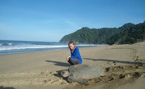 2D1N Sukamade Beach Turtle Tour from Banyuwangi - Main image