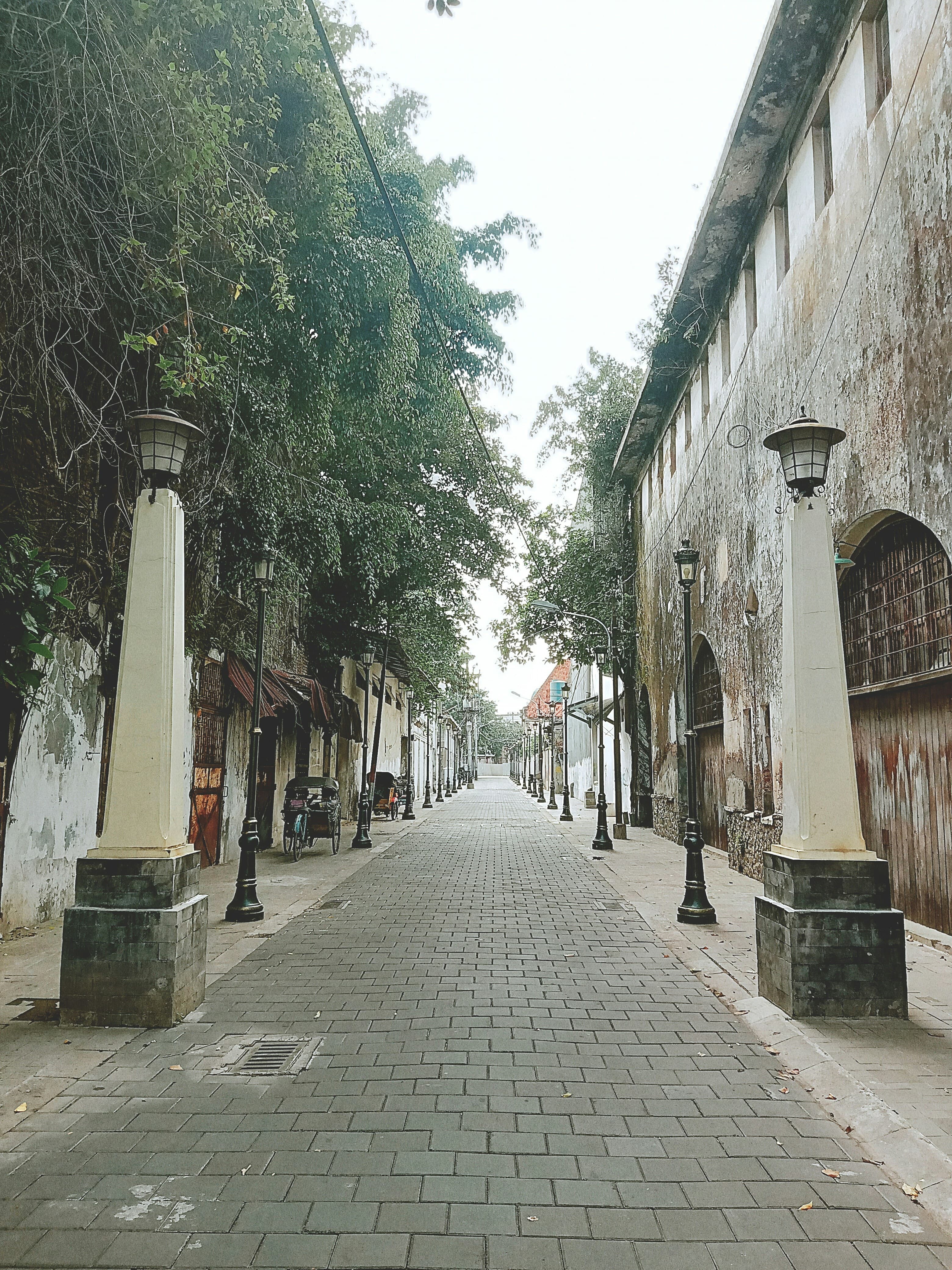 Semarang–Dieng–Yogyakarta Heritage Journey (2D1N) - Image 12