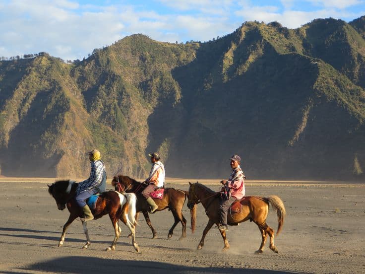 Bromo Sunrise Private Tour from Malang – Mount Bromo Jeep Experience - Image 2