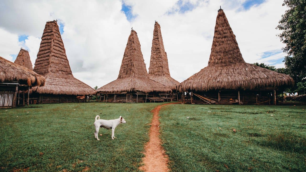 4D3N Explore West & South Sumba: Culture, Villages & Waterfalls - Main image