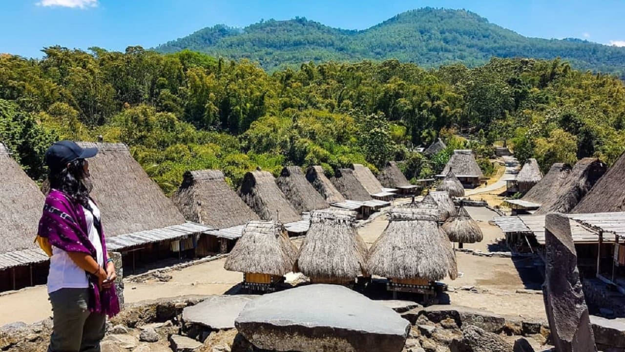4D3N Explore West & South Sumba: Culture, Villages & Waterfalls - Image 3