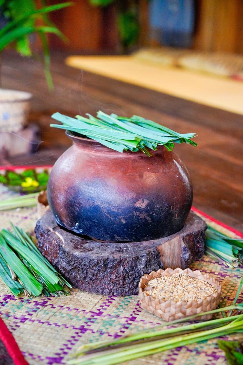 Private Tribal Farm-to-Table Lunch in the Manggarai Highlands - Image 12